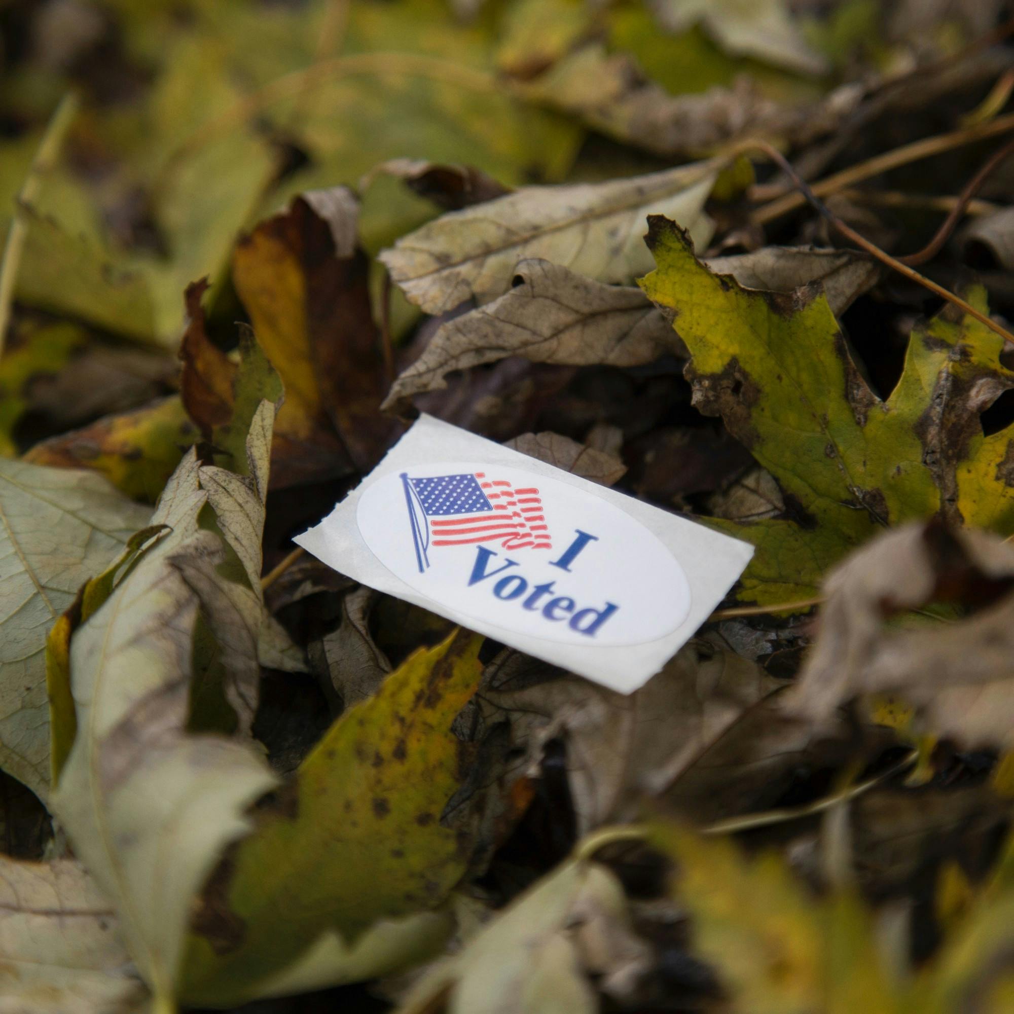 Voting Sticker